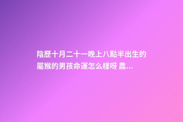 陰歷十月二十一晚上八點半出生的屬猴的男孩命運怎么樣呀 農歷2008年十月二十一出生叫李怡然名字好不好-第1張-觀點-玄機派